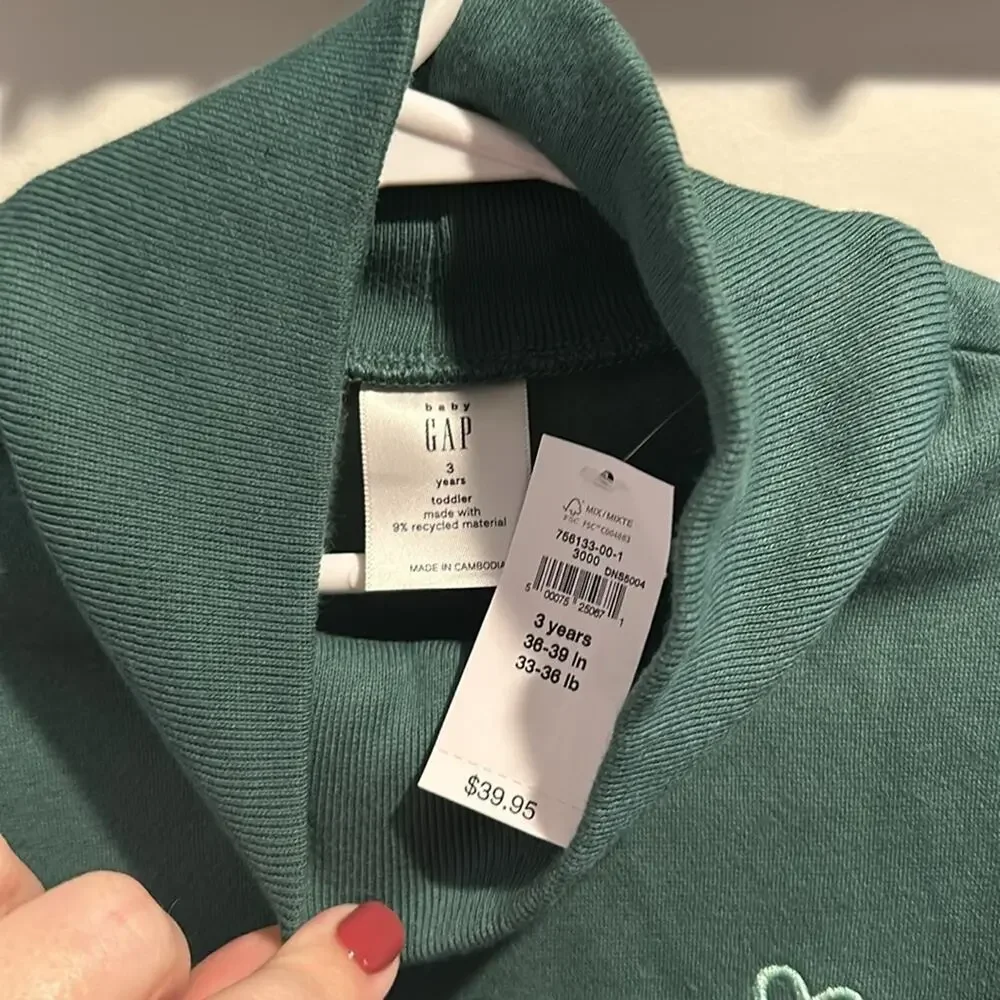 babyGAP 3T Green Mockneck Sweatshirt‎ Dress